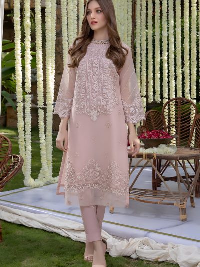 Organza Full Heavy Embroidered Dress (2 Pec) (ST162)