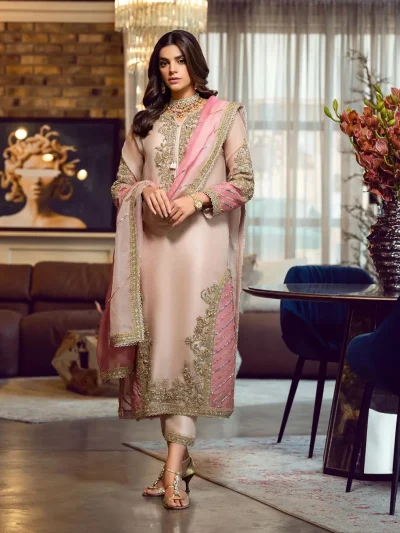 Elegant Organza Heavy Embroidered Dress With Embroidered Organza Dupatta 3 Pec Suit (Unstitched) (ST123)