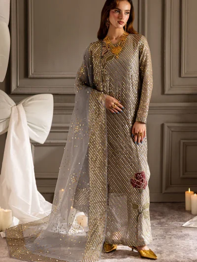 Heavy Embroidered Chiffon Party Dress With Organza Embroidered Dupatta (Unstitched) (ST289)